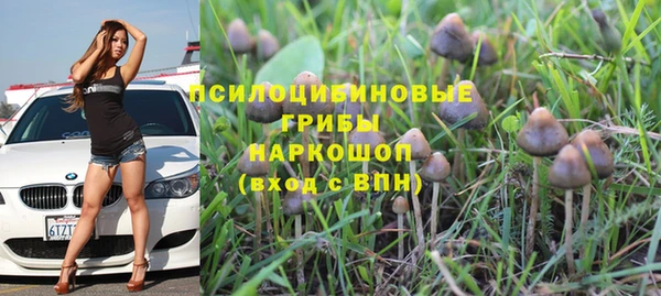 бошки Михайловск