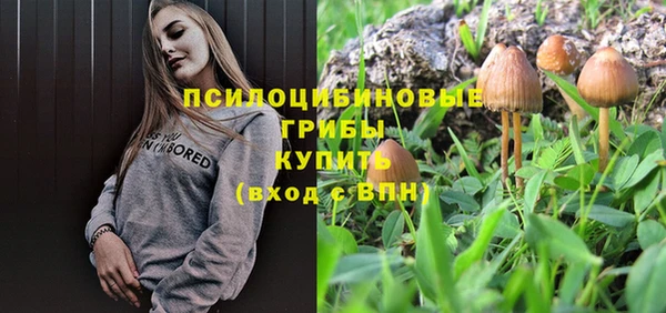 бошки Михайловск