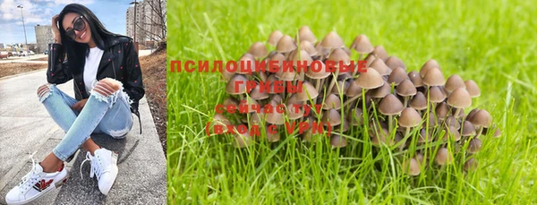spice Михайловка