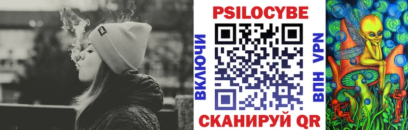 Псилоцибиновые грибы GOLDEN TEACHER  купить наркотики цена  Шарыпово 